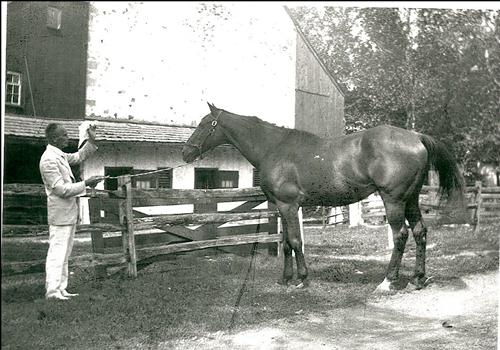 photo Welsh Strawbridge to the left holding rein to thoroughbred Riverbreeze to right.  Both standing in front of gable end of barn showing forebays to the right and left