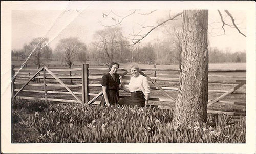 photo of Margaret Strawbridge and Virginia Dyer with fence behind them and many daffodils in front